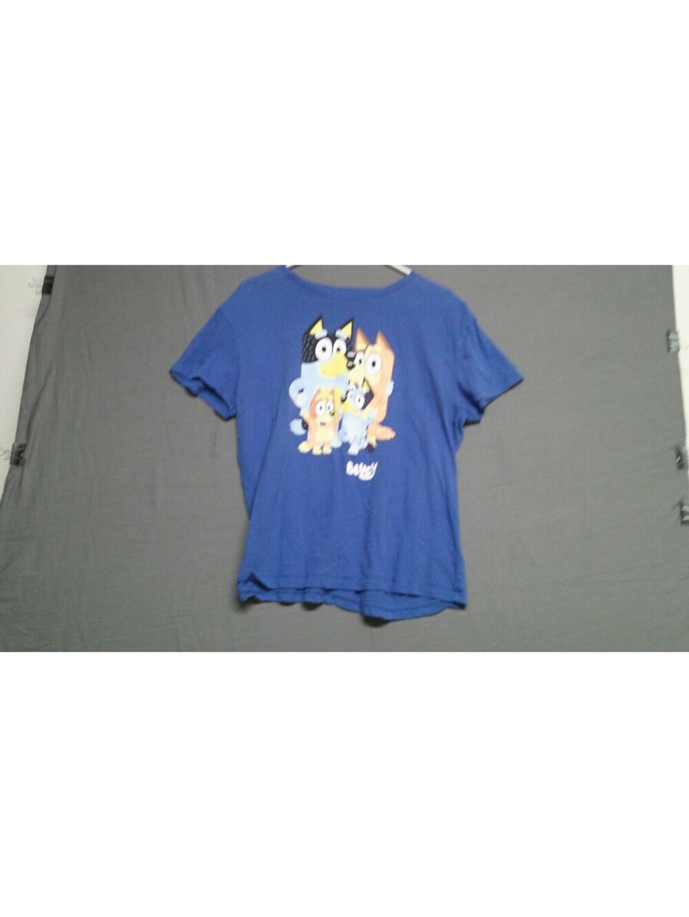 Bluey Cartoon Graphic T-Shirt Women's Large